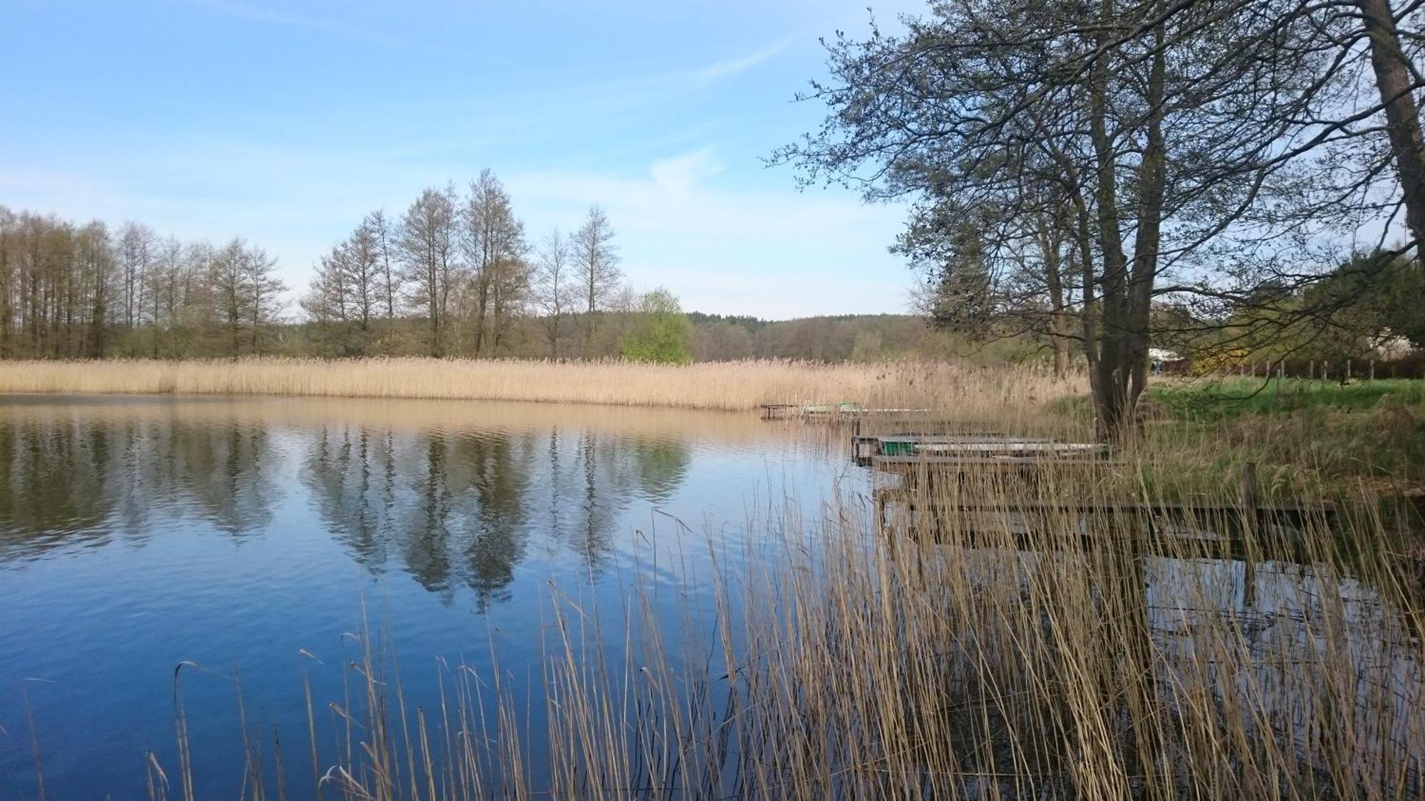 Idyll Im Land Der 1000 Seen Liessow  المظهر الخارجي الصورة