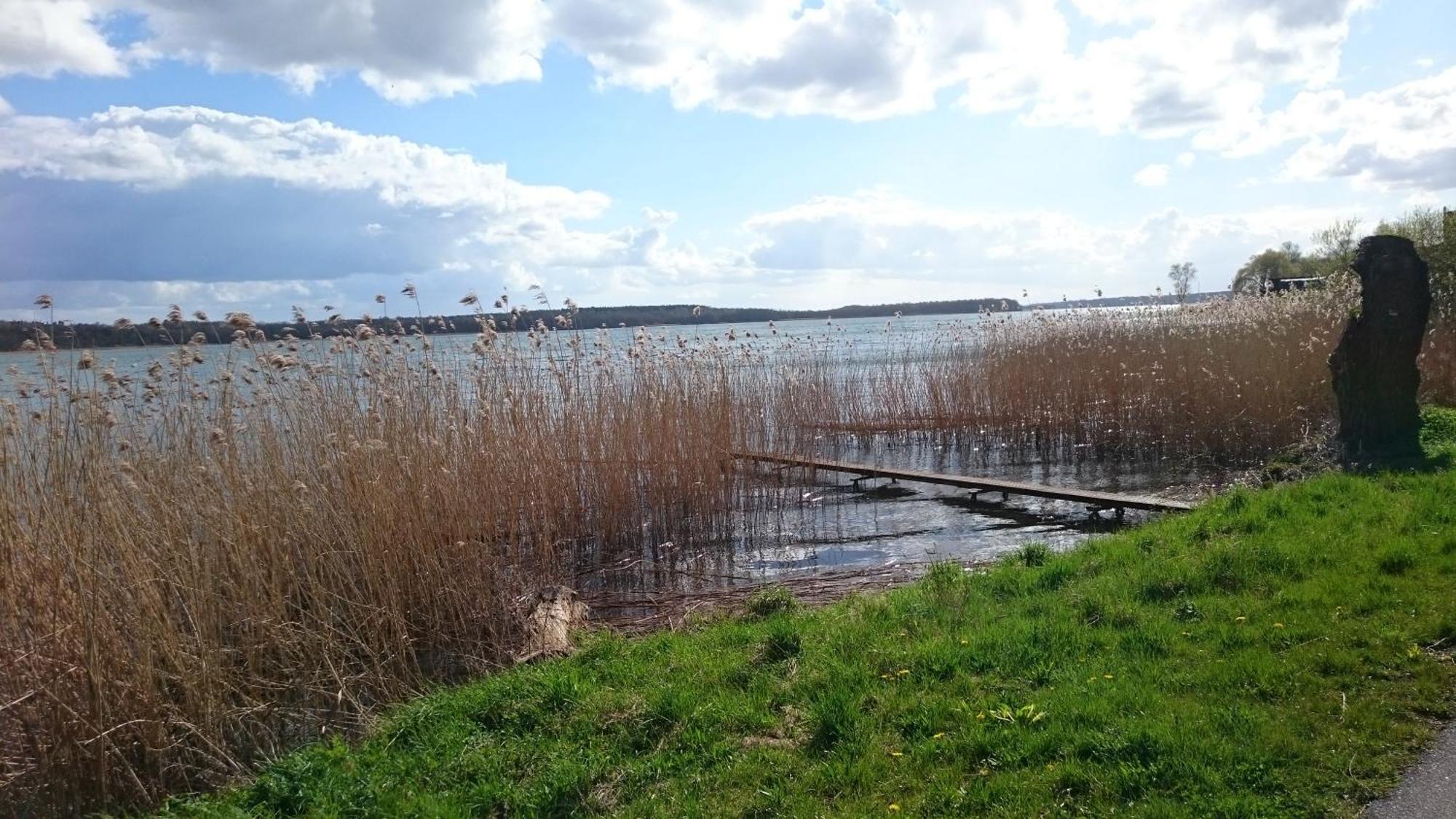 Idyll Im Land Der 1000 Seen Liessow  المظهر الخارجي الصورة